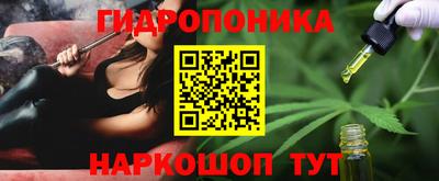 тгк Братск