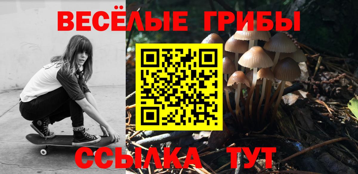 Псилоцибиновые грибы мухоморы Артём
