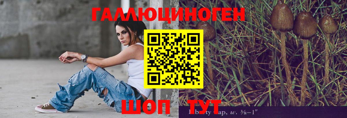 Псилоцибиновые грибы прущие грибы  Псилоцибиновые грибы прущие грибы  Артём  Вход с VPN 